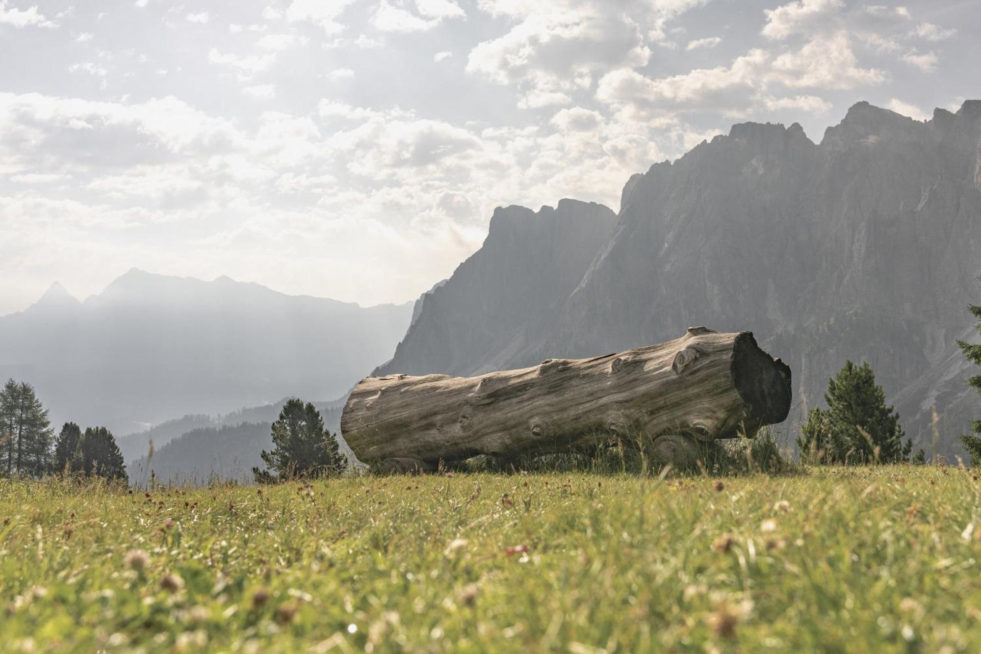 شقة Ciasa Iachin - Dolomites Dream Retreat سان مارتينو-إن-باديا المظهر الخارجي الصورة