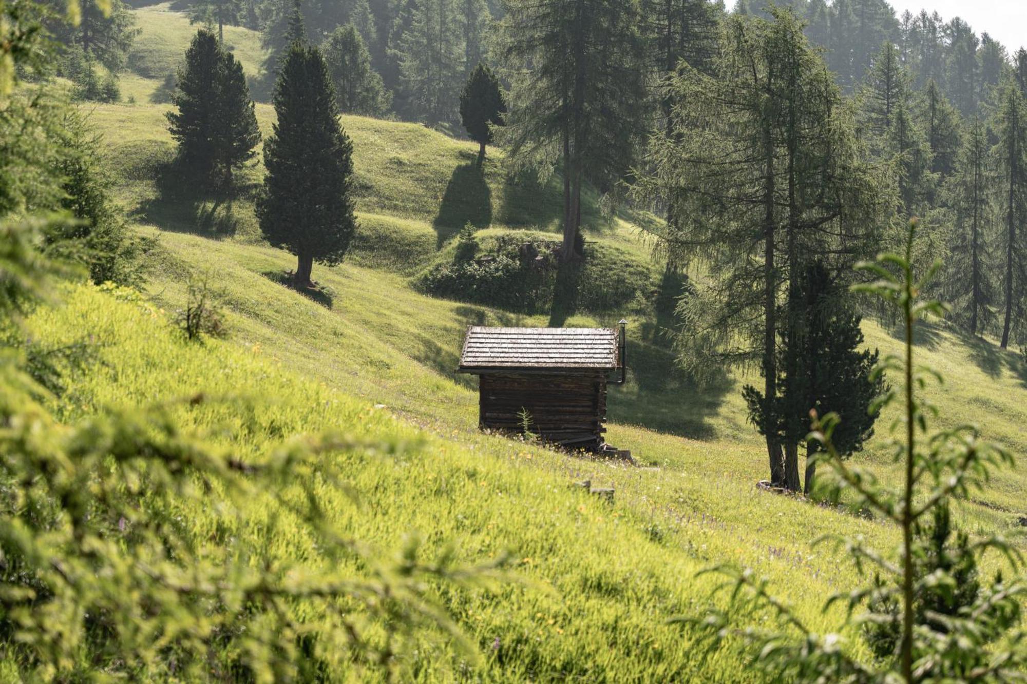 شقة Ciasa Iachin - Dolomites Dream Retreat سان مارتينو-إن-باديا المظهر الخارجي الصورة