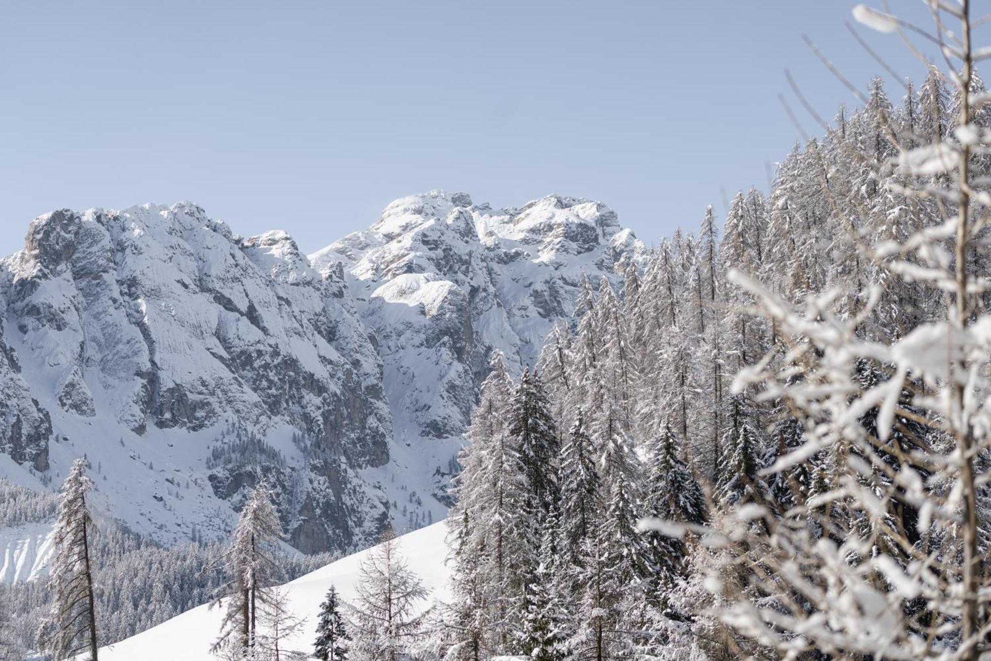شقة Ciasa Iachin - Dolomites Dream Retreat سان مارتينو-إن-باديا المظهر الخارجي الصورة