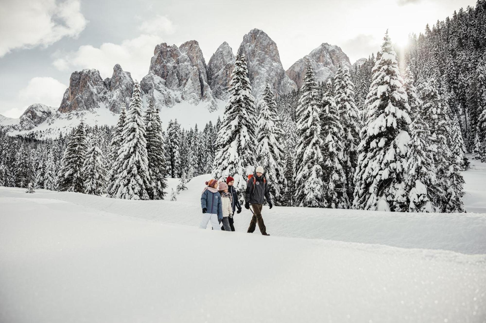 شقة Ciasa Iachin - Dolomites Dream Retreat سان مارتينو-إن-باديا المظهر الخارجي الصورة