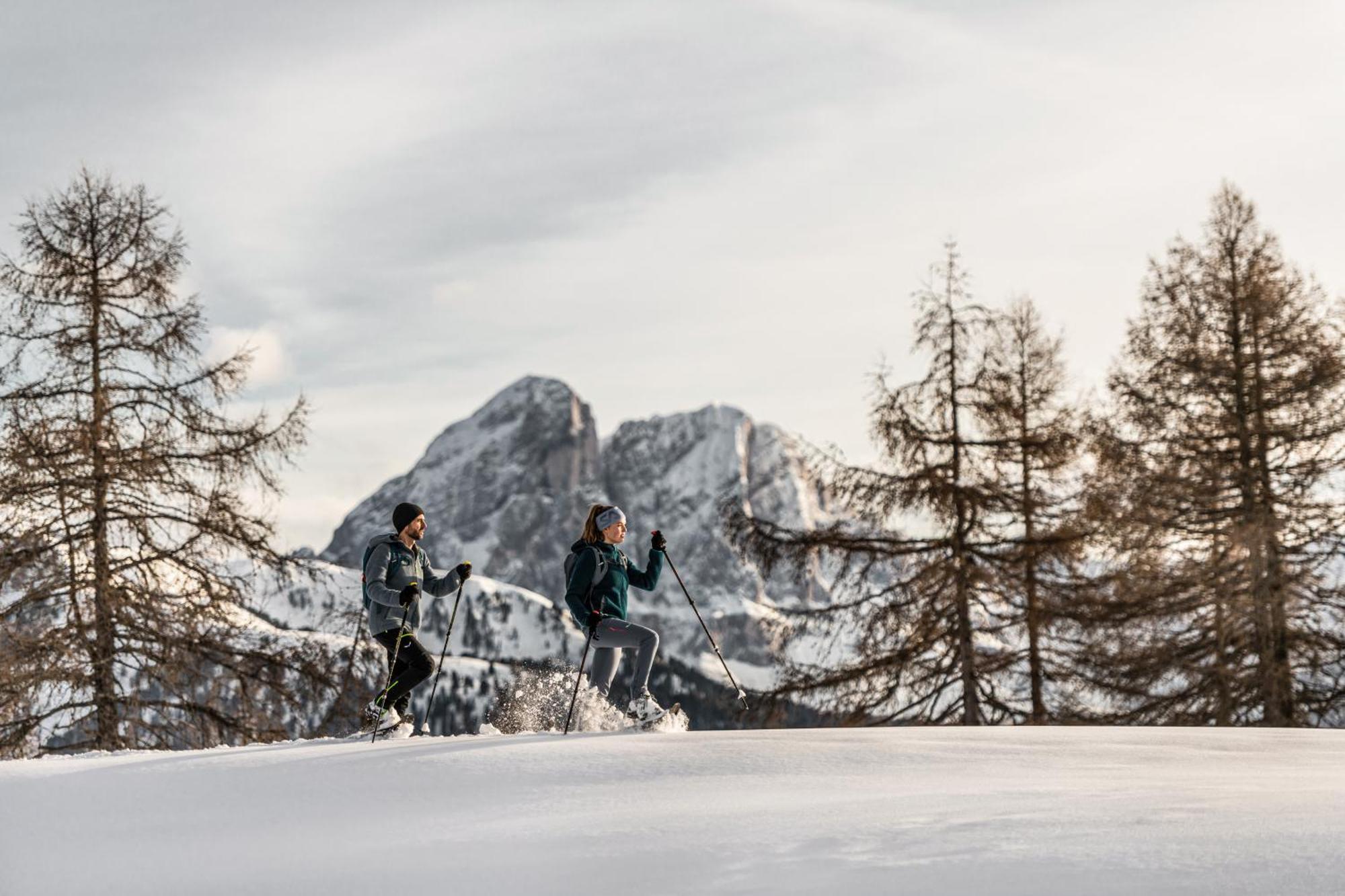 شقة Ciasa Iachin - Dolomites Dream Retreat سان مارتينو-إن-باديا المظهر الخارجي الصورة