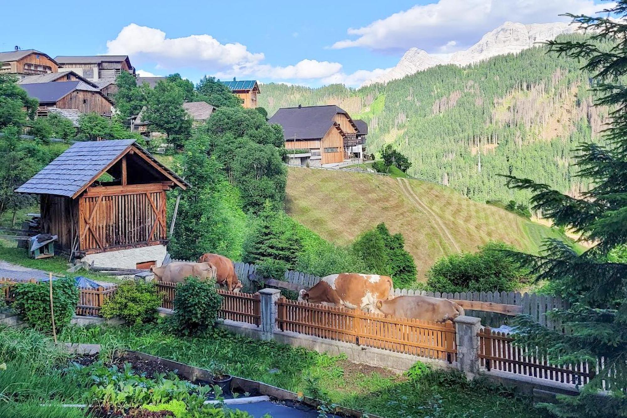 شقة Ciasa Iachin - Dolomites Dream Retreat سان مارتينو-إن-باديا المظهر الخارجي الصورة