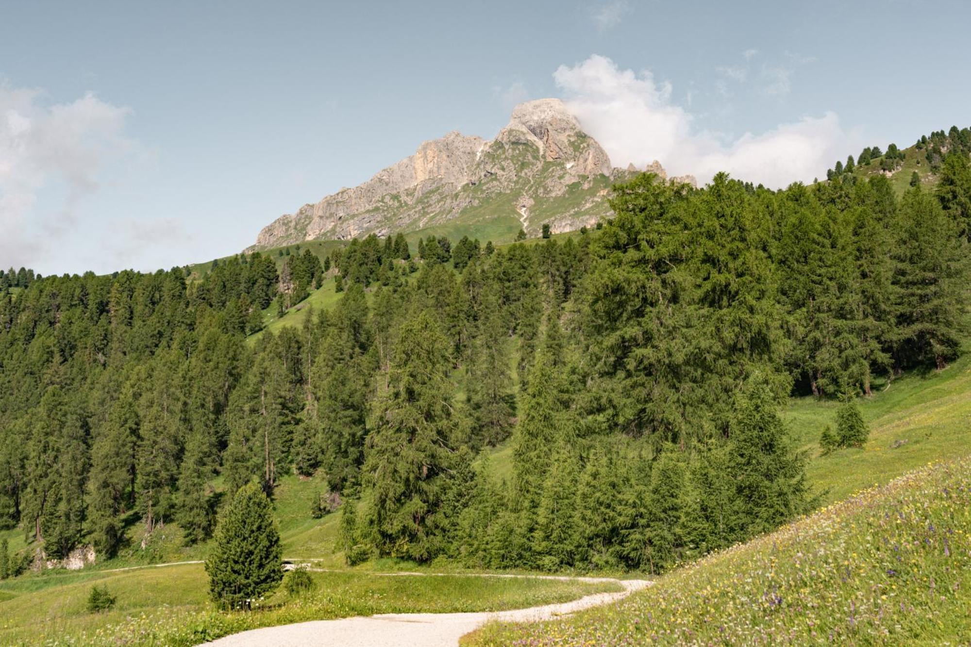 شقة Ciasa Iachin - Dolomites Dream Retreat سان مارتينو-إن-باديا المظهر الخارجي الصورة