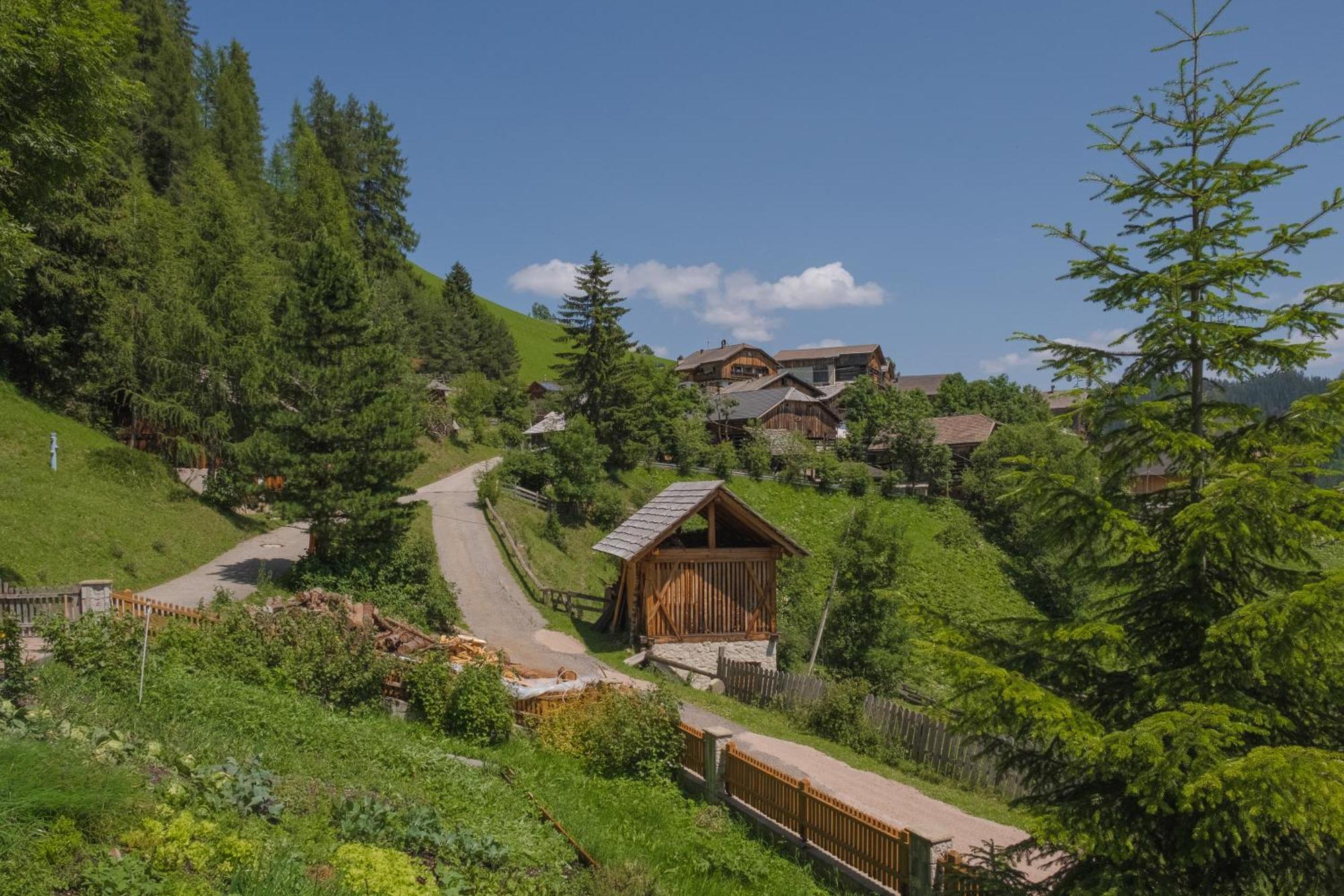 شقة Ciasa Iachin - Dolomites Dream Retreat سان مارتينو-إن-باديا المظهر الخارجي الصورة