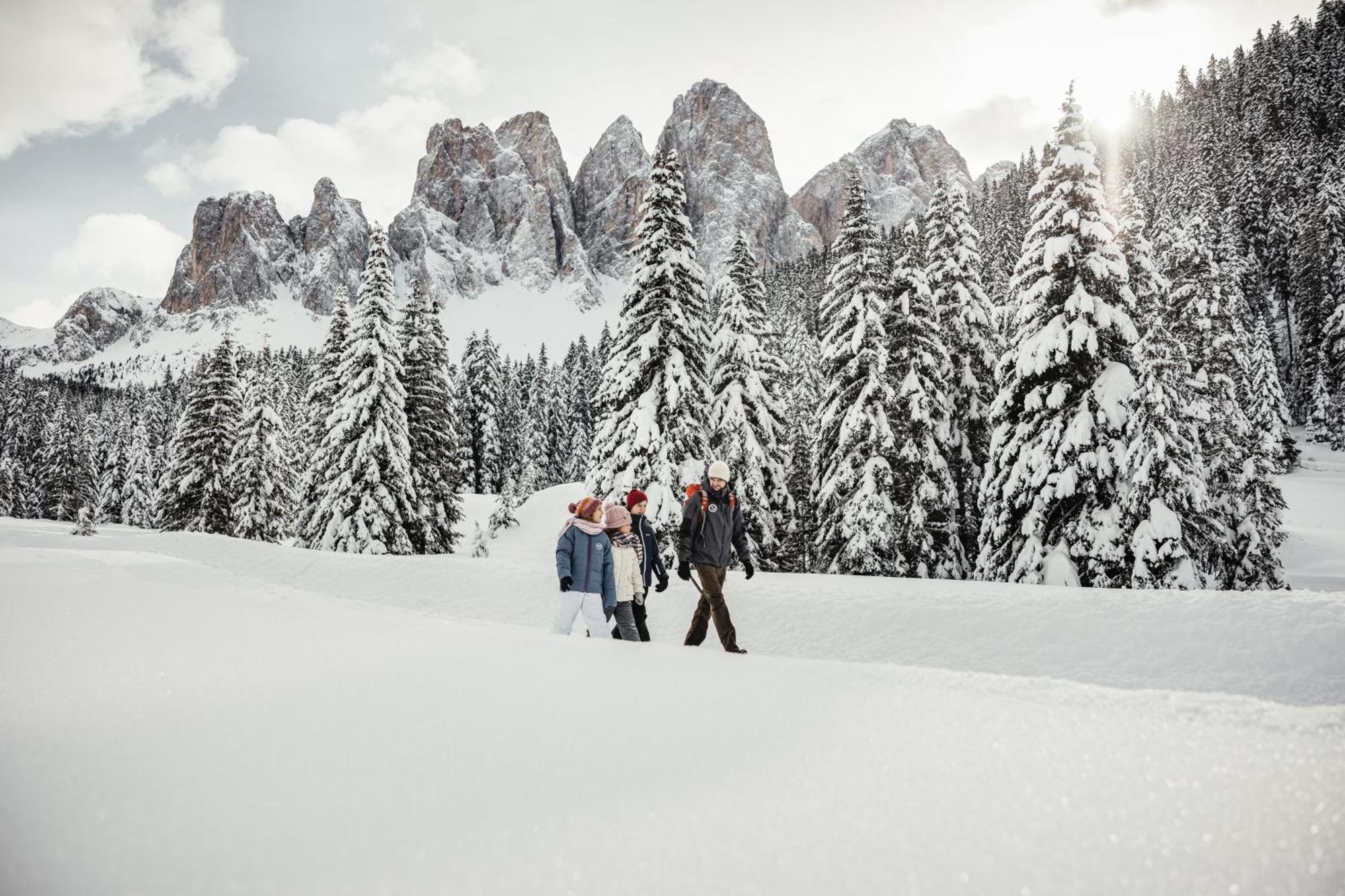 شقة Ciasa Iachin - Dolomites Dream Retreat سان مارتينو-إن-باديا المظهر الخارجي الصورة